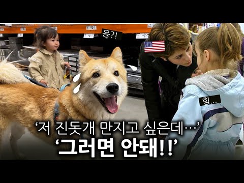 미국 가게에서 진돗개 왕자를 본 아이가 엄마에게 크게 혼난(!!) 이유