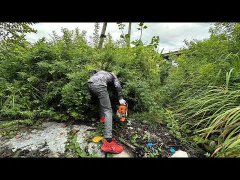 His wife was surprised to see the old house's garden covered with grass at the entrance.