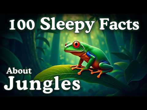 The Most Relaxing Facts About Jungles to Fall Asleep To