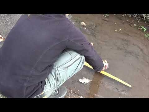 Native American sinew backed bow. Part 1