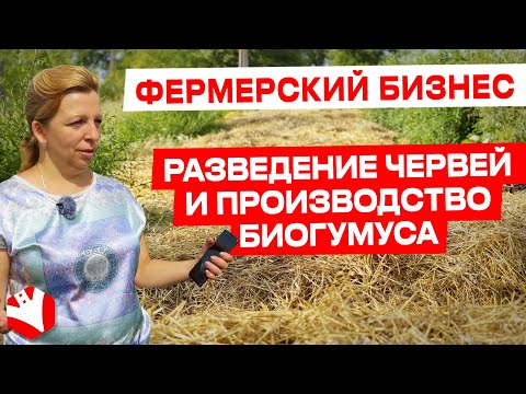 Фермерский бизнес | Разведение червей и производство биогумуса