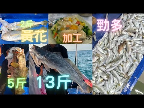好耐冇釣魚,有D野玩下😍黃花/青斑/大青鱸,全艇都係魚🤣夜晚5斤青斑加工🤤~fishcutting香港海鮮~社長遊街市Seafood