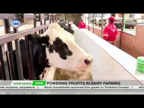 The Business Side of Dairy | How to Power Up Your Profits || Farm Kenya