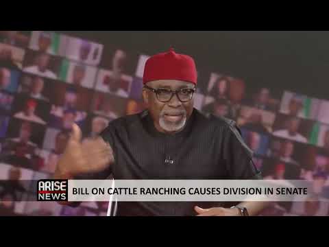 Open-Grazing Bill: People Are Killed if They Don’t Let Cows Graze on Their Land -Abaribe