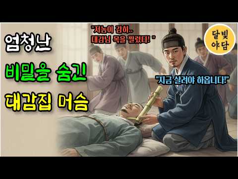 정승대감집에 새로 들어온 머슴, 알고보니 조선제일 의술을 가졌는데... | 야담 | 설화 | 옛날이야기 | 노후사연 