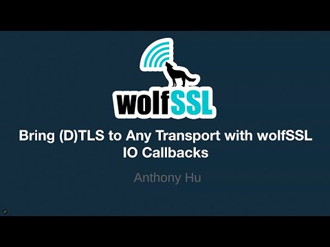 Learn to Bring (D)TLS to any Transport via wolfSSL's I/O Callbacks