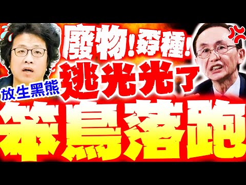 【全程字幕】沈伯洋被抓"青鳥全跑光了"! 吳子嘉噴"全是廢物"笑死人! 對比韓國瑜談話 網狂讚"更像總統"!!