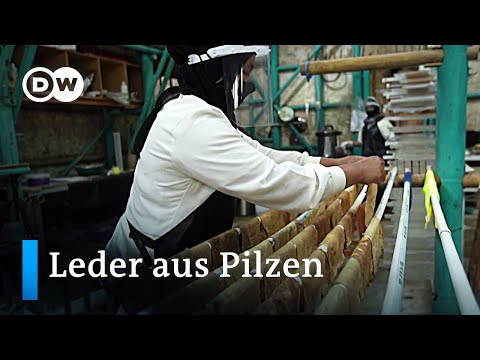 Vegane Mode aus Pilzleder | Global Ideas