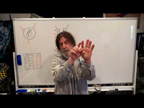 4-Evolution of Behavior III (Recognizing Relatives) - Robert Sapolsky's Human Behavioral Biology