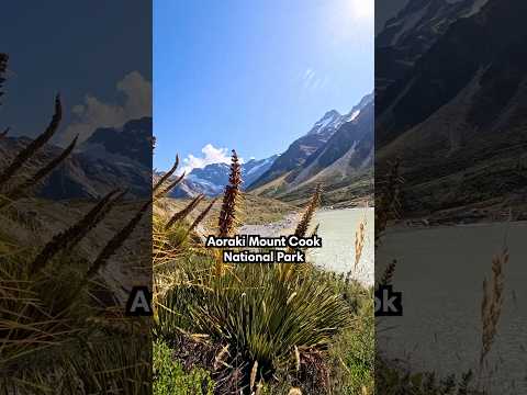 beautiful hikes in Aoraki Mount Cook NP 🇳🇿🥾 #mountcook #newzealand #newzealandhikes #travel
