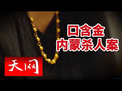 《天网》姐姐在家中被人杀害 口腔内部含了一条金项链！楼梯间留下无名血迹...... 20250115