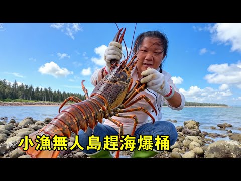 無人島驚遇暴躁刺泡魚！海螺、梭子蟹爆桶大賺，上岸擺攤被瘋搶【漁小仙】