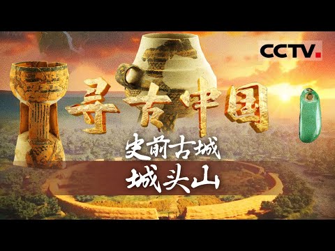 《寻古中国》史前古城城头山：探秘目前已知中国最早的城 竟然是从稻田里长出来的 距今约6300多年【CCTV纪录】