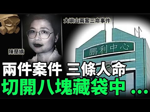 「粵語廣東話」保險從業員約客傾單突然失蹤 .. 最終在效野尋回 .. 但已被分成八塊 .. 一單命案 , 竟然牽出另一單雙失命案 ..... ?? 大嶼山兩案三命事件 - 聽播版本【頭盔說案】