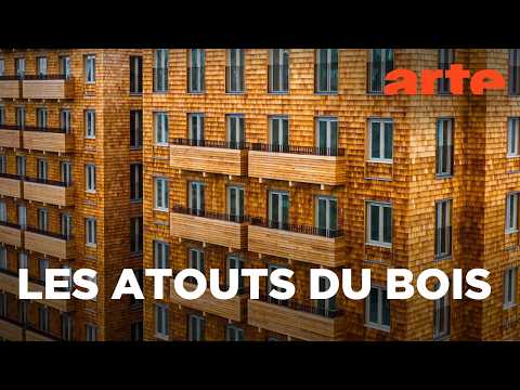 Du bois au bambou | Matériaux d’hier et de demain | ARTE