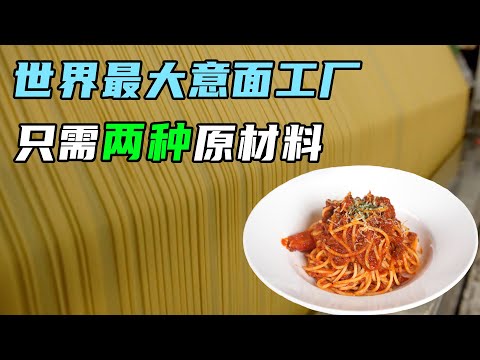 全球最大意面工厂，配料表只有两样！每分钟生产1吨面条