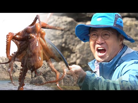 '대박' 이만기 문어잡이 실력 | 섬마을 할매 통영 학림도 편