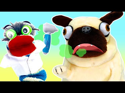 Fizzy The Pet Vet Helps Pug Puppy | Funny Stories For Kids