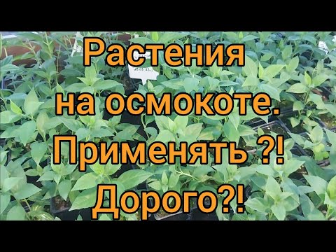 Про ОСМОКОТ . Показываю растения с ним и без него.