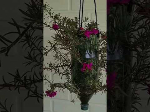 DIY Vaso de Garrafa Plástica para Portulaca Glandiflora #diy #tudoviravaso