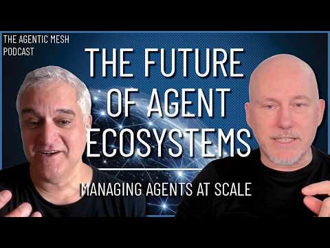 Navigating the Future of Agent Ecosystems