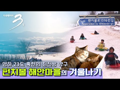 [다큐3일 ★풀버전] 최전방 양구 펀치볼 마을의 겨울나기 (KBS 100124 방송)