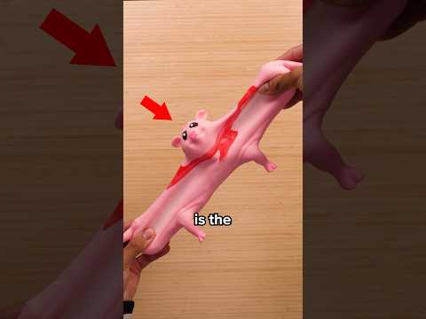 I Tested the “Unbreakable” Pig