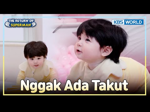 Sifat Kompetitif Haru Mulai Muncul 🔥 | The Return of Superman [IND/ENG] | KBS WORLD TV 251214
