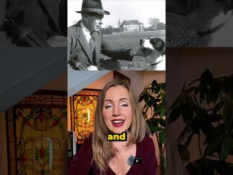 How a Frustrated Dog Owner Built a $1M Empire (True Story)