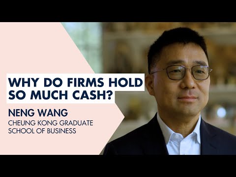 Why Do Firms Hold So Much Cash?