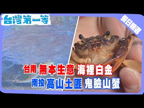 台灣第一等《台南無本生意 海中白金 / 夜擒高山土匪 鬼臉山蟹  》假日精選