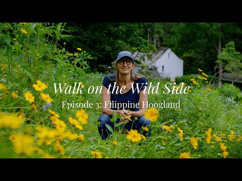 Inside America's Healthiest Yards: Filippine Hoogland's Meadow Magic (Garden Tour)
