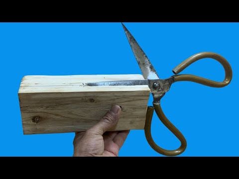 How to Sharpen Scissors to Razor Sharpness – Never Rust Again!