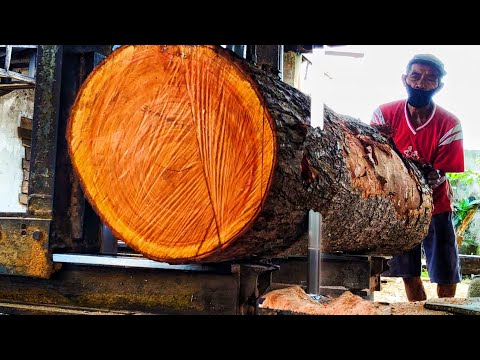 Red mahogany, processed into super quality boards in the sawmill.