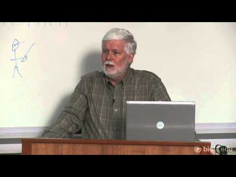 6. Approach 3: Value in Nature: An Ecological Ethic [Environmental Ethics]