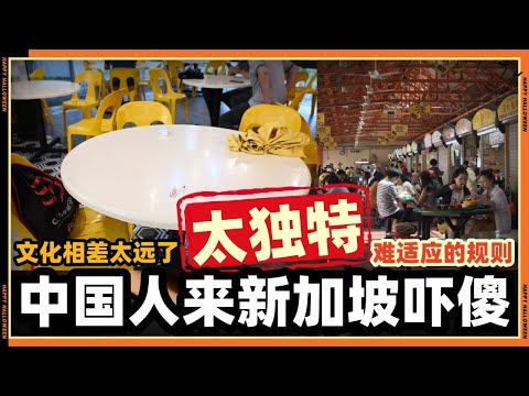 中国人来新加坡当场被吓傻了，这到底是在搞什么!!