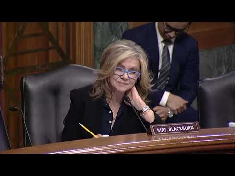 Protecting American Citizenship: Birthright Citizenship for Illegal Aliens and Tourists