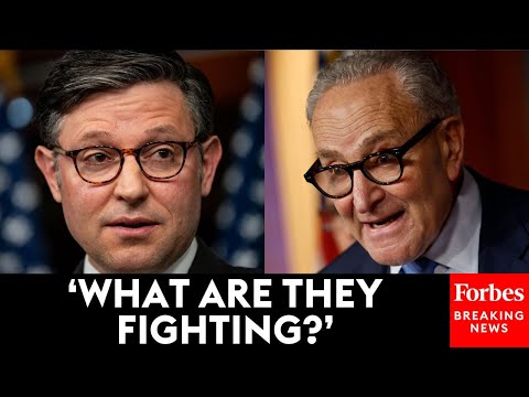 JUST IN: Speaker Johnson Unloads On Democrats As The Government Shutdown Enters Day 27