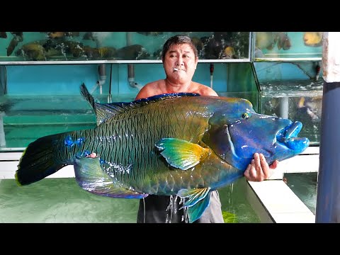 GIANT NAPOLEON FISH Vietnamese Food Hang Duong Quan