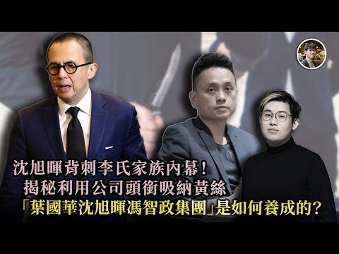 踢爆沈旭暉背刺李嘉誠李澤楷李氏家族內幕！辜負皇仁識於微時的羅永聰、魯庭暉！揭秘吸納黃絲 「葉國華沈旭暉馮智政集團」是如何養成的？ - 快閃拆解經濟【FDB Asset Management 特約贊助】