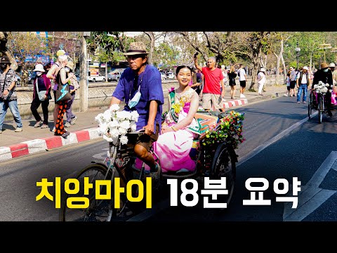 🇹🇭 치앙마이 여행을 0부터 제대로 알려드림