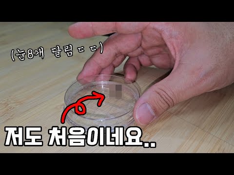 집으로 들어온 귀여운 의문의 생물!! 반전 결말이라 마음이 아픕니다..ㅠㅠ