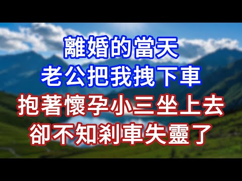 離婚的當天，老公把我拽下車，抱著懷孕小三坐上去，卻不知剎車失靈了 #言情故事#情感故事#家庭故事#小說#戀愛#婚姻
