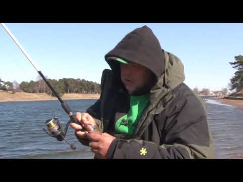 How to Drop-Shot Fish. Fishing with Normund #65