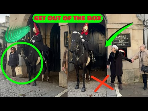 🙈BOOM! The Guard Tried Being Polite Then He Went FULL VOLUME! 