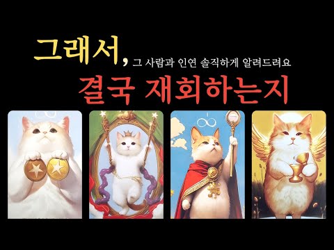 [타로] 연락없는 그 사람 속마음❗그래서, 결국 재회하는지❗ 두분의 인연 솔직하게 알려드려요💫