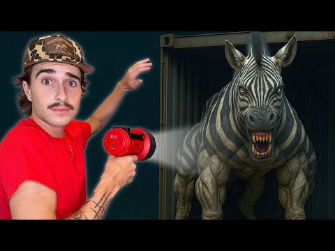 Buying The Creepiest Zebra Ever (to keep as a pet)