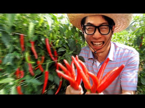 니 고추 쩔더라 ㅋ