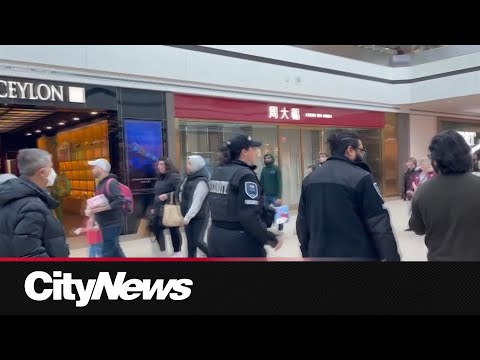 Store victim of smash and grab for second time this month