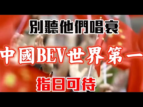 為何問題多多的新能源車有朝一日世界第一